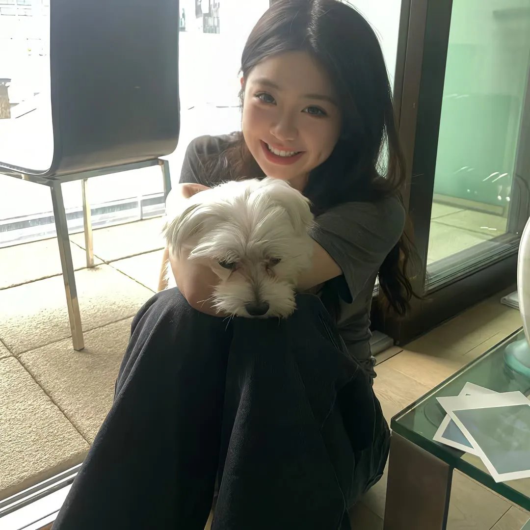 小小北极熊