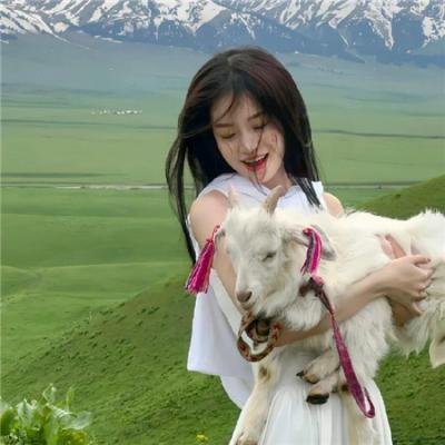 杀手的童话
